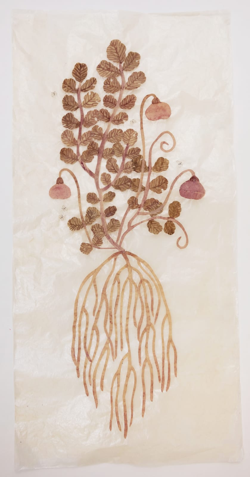 Fumi Imamura, A winged insect and a flower (purple flower) (らさきの花), 2025