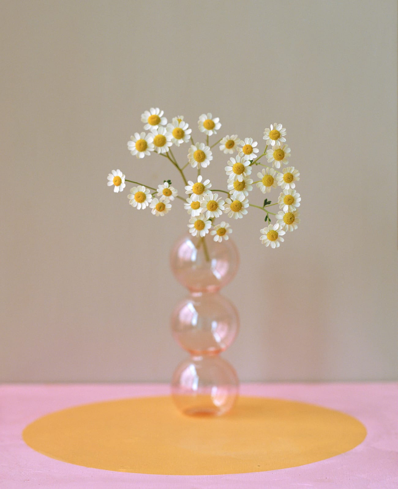 Kate Friend, Yinka Ilori, Daisy, North London, 2022