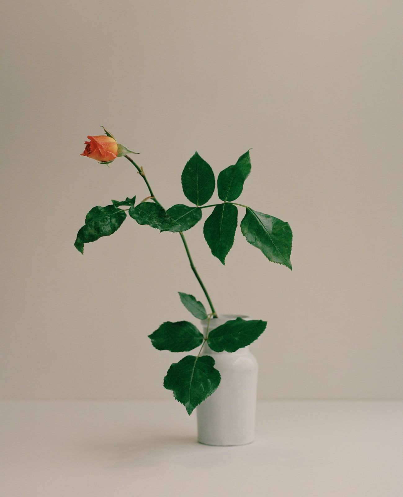 Kate Friend, Simone Rocha, Garden Rose, De Beauvoir, 2022