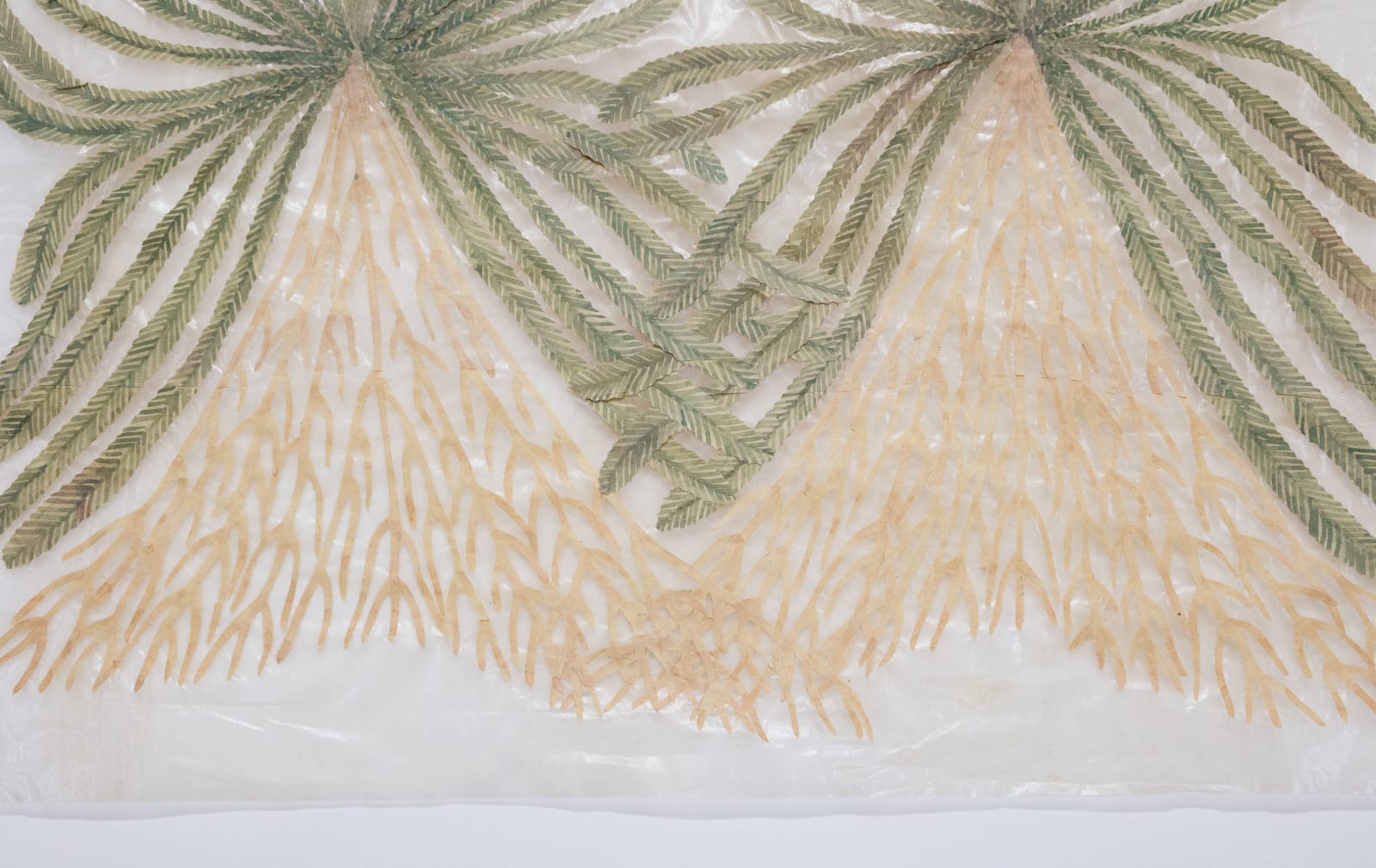 Fumi Imamura, Two flowers (breath) (花ふたつ(呼吸), 2024