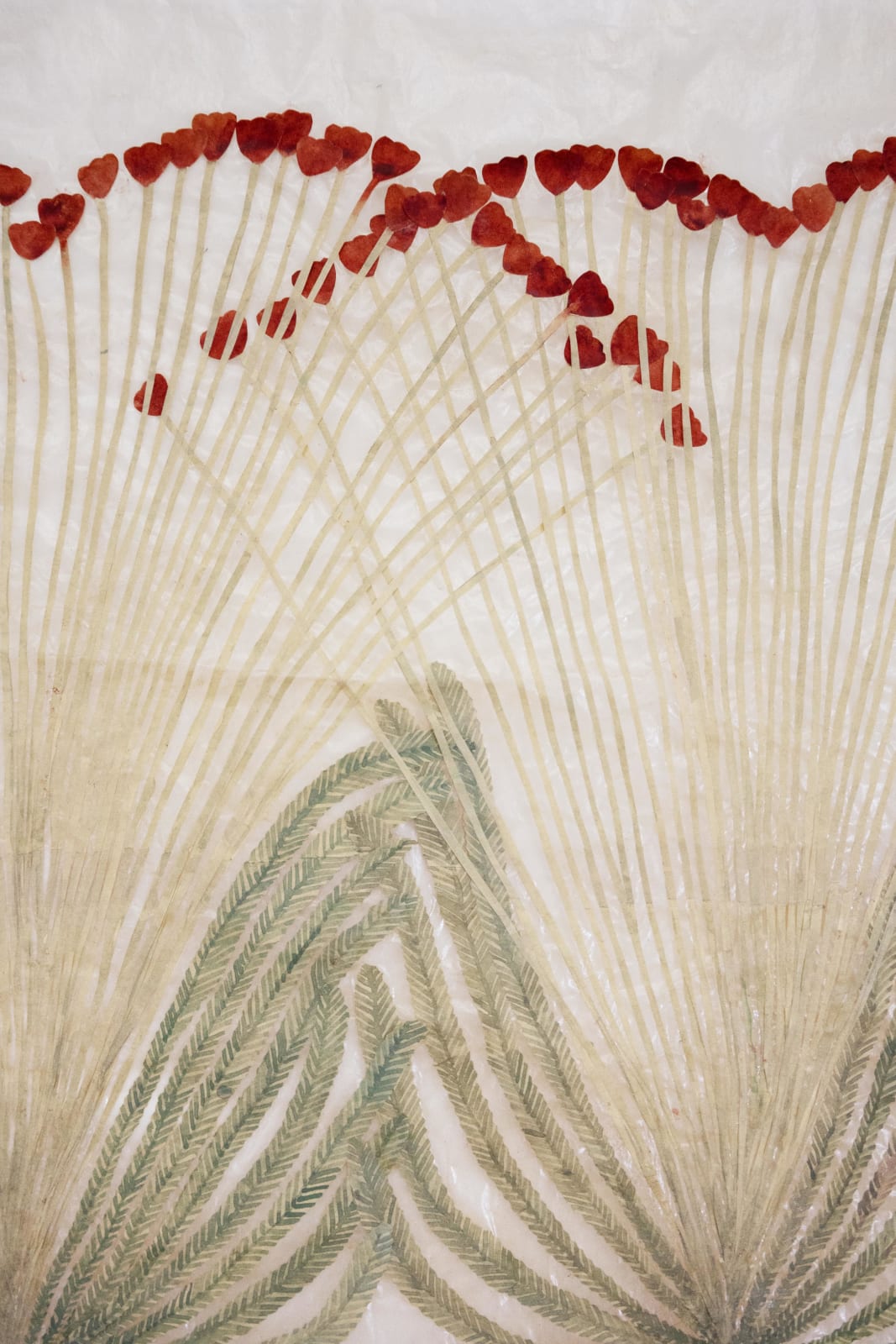 Fumi Imamura, Two flowers (breath) (花ふたつ(呼吸), 2024