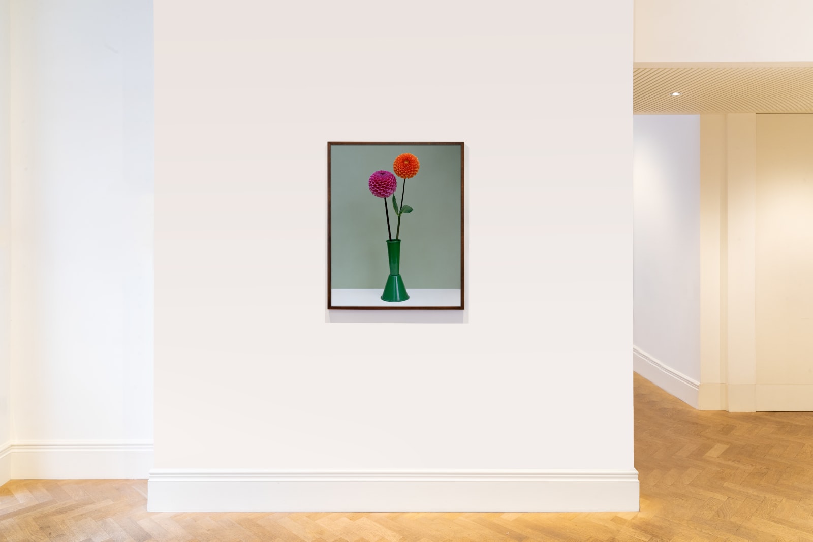 Kate Friend, Charlie McCormick, Dahlia, Dorset, 2020