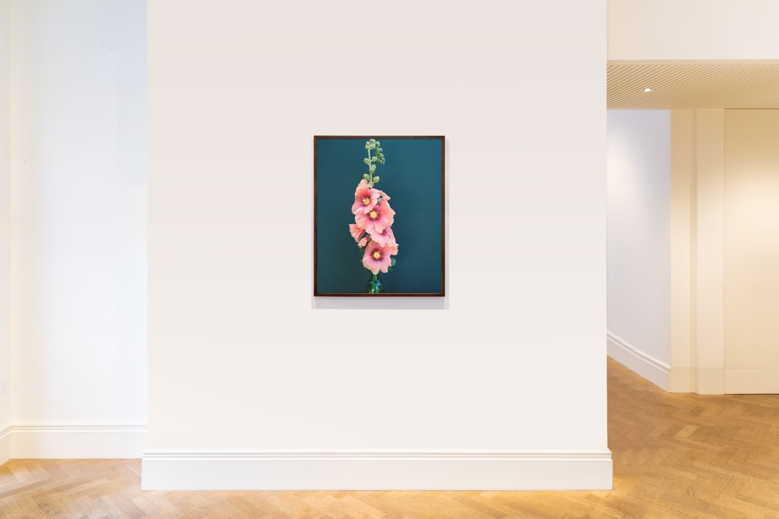 Kate Friend, Duncan Grant, Hollyhock, Charleston, 2019