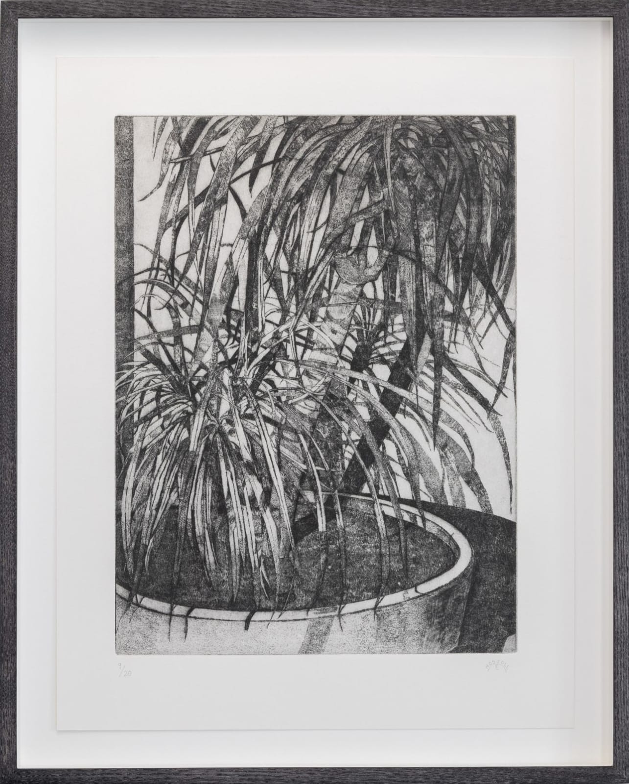Esme Hodsoll, Palm (by Night), 2021