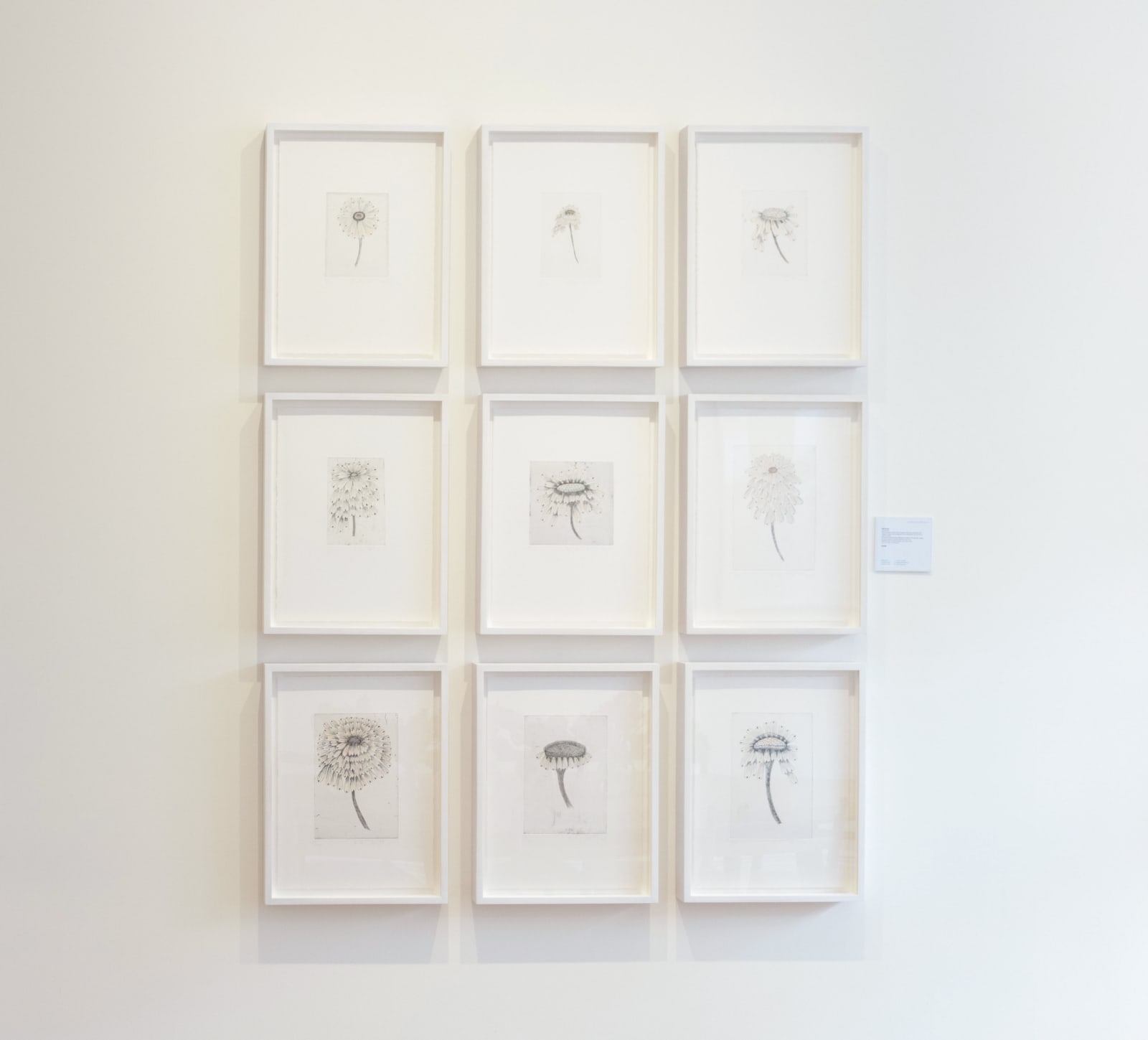 Kiki Smith, Untitled (from Escapades), 2011