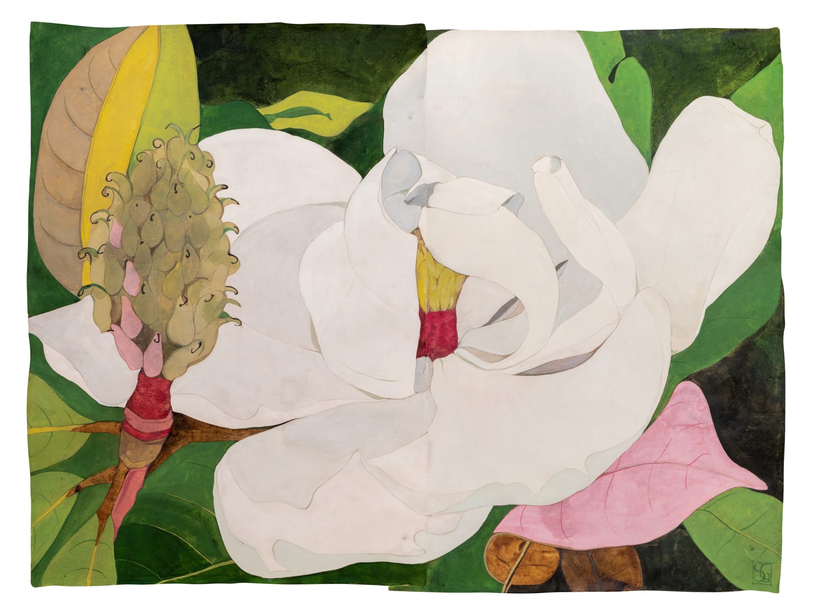 Sarah Graham, Magnolia grandiflora VI, 2022