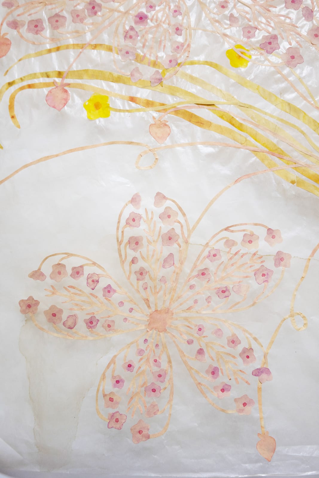 Fumi Imamura, Yellow Narcissus and Purple Flowers Halo, 2023