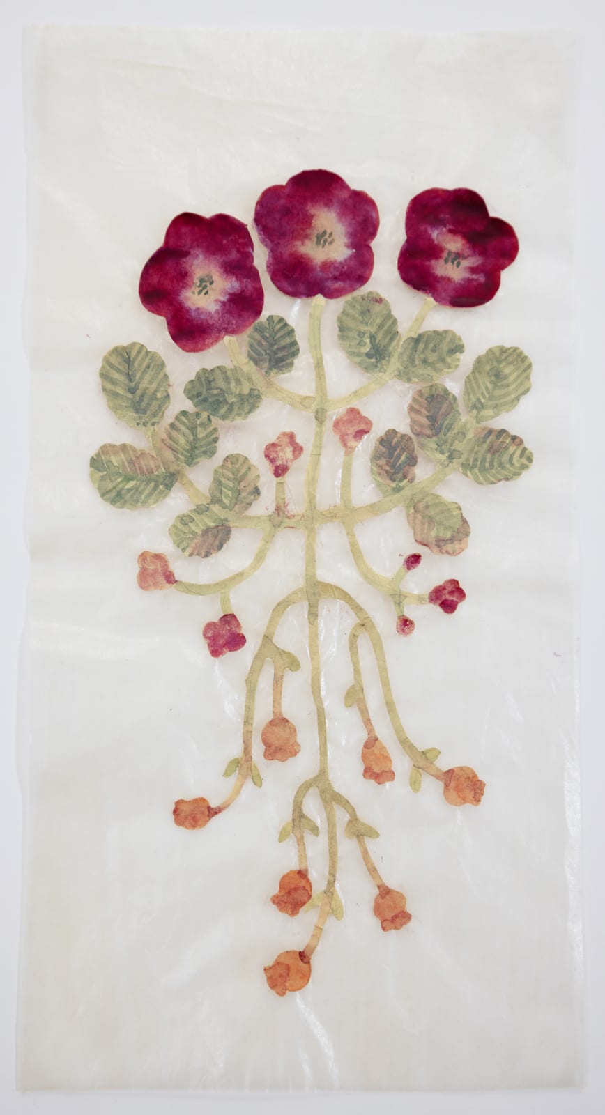 Fumi Imamura, One flower (花ひとつ), 2025
