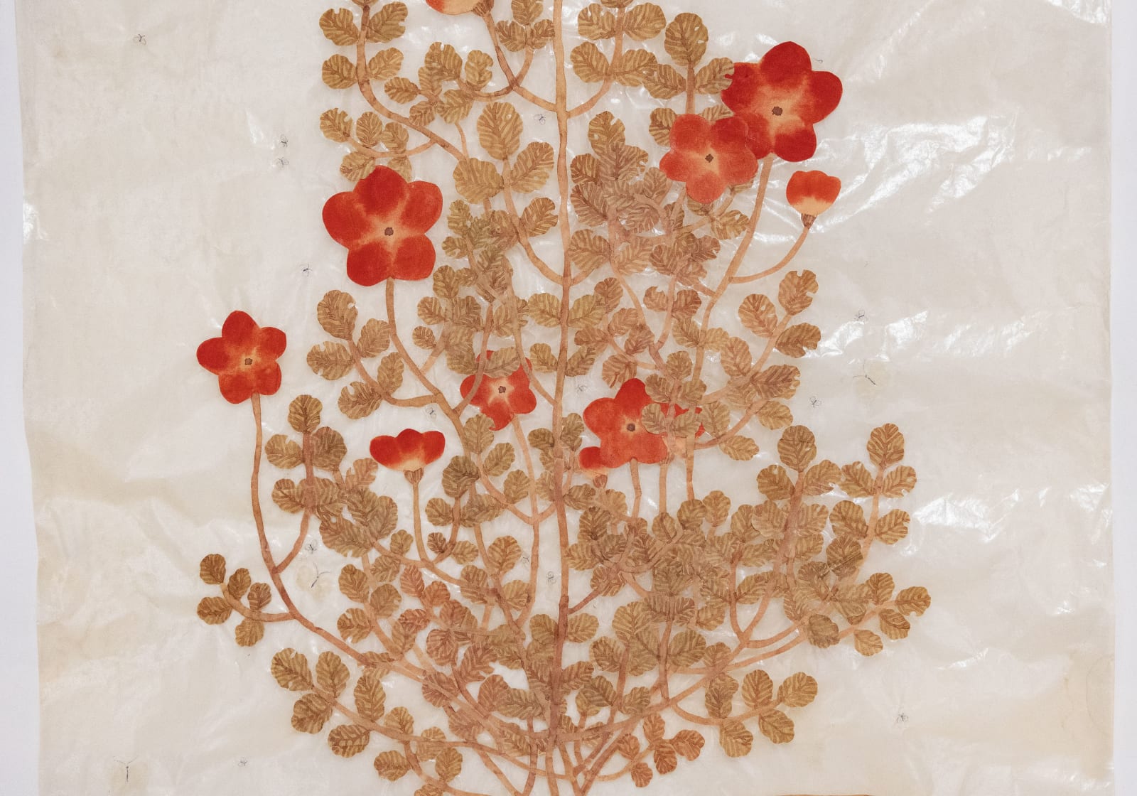 Fumi Imamura, Three red flowers, fruiting (赤い花みっつ, 結実), 2025