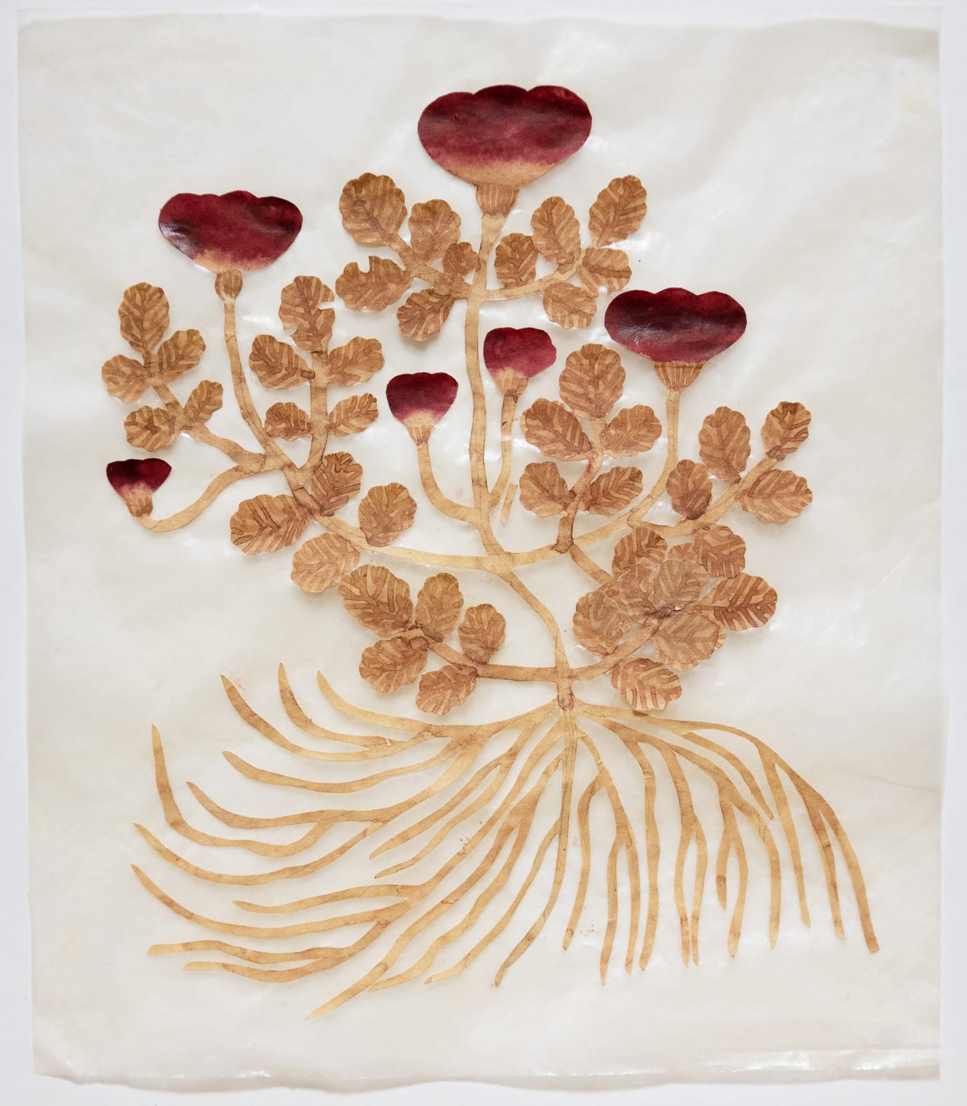 Fumi Imamura, One flower (burgundy flower) (花ひとつ(葡萄茶の お花), 2025