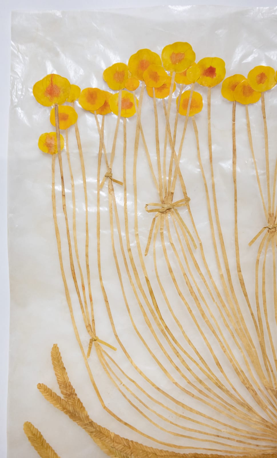 Fumi Imamura, Two tied flowers (yellow flower) (結ばれた花ふたつ(き いろいお花)), 2025