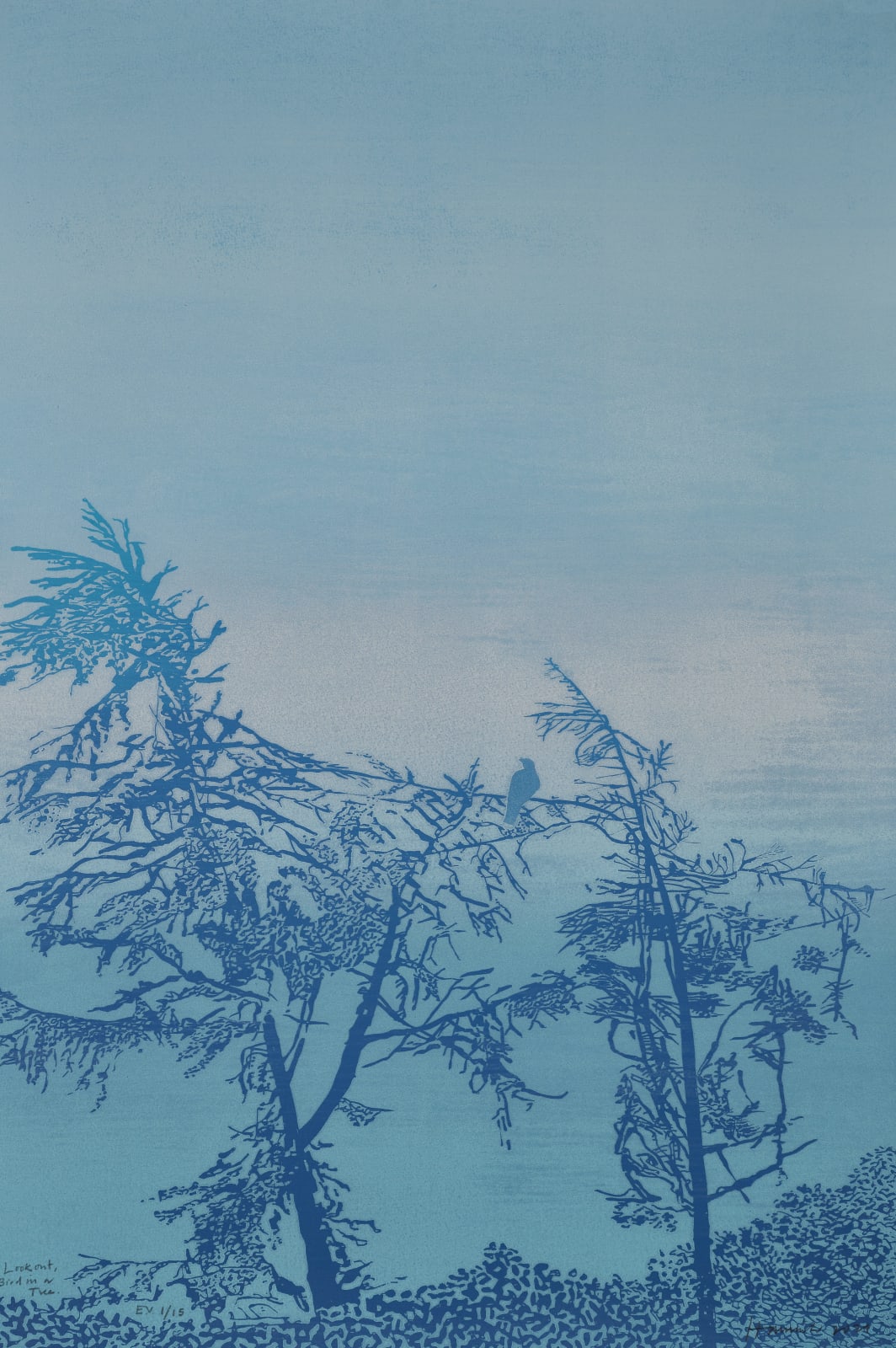 Tom Hammick, Look Out, Bird in a Tree, 2021