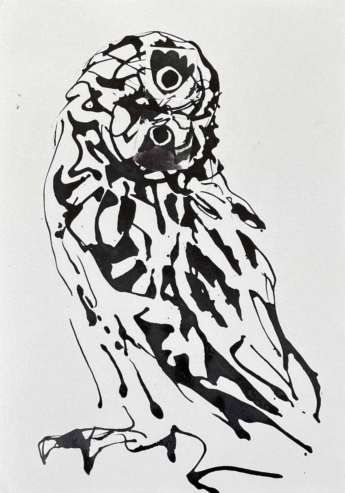 Fred Clark, night owl, 2024