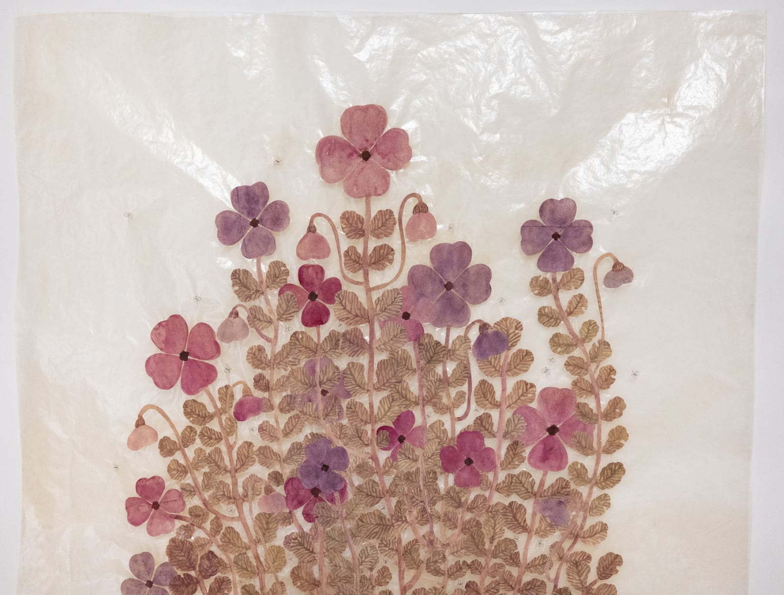 Fumi Imamura, Two purple flowers, fruiting (むらさきの花ふた つ、結実), 2025