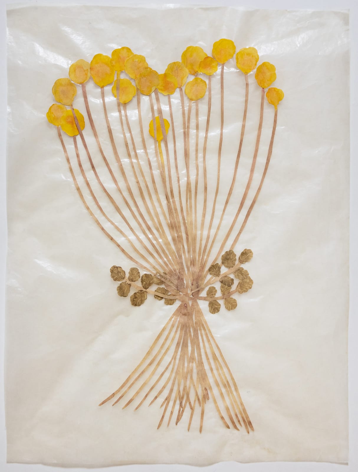 Fumi Imamura, Two flowers (yellow flower) (花ふたつ(きいろい お花), 2025