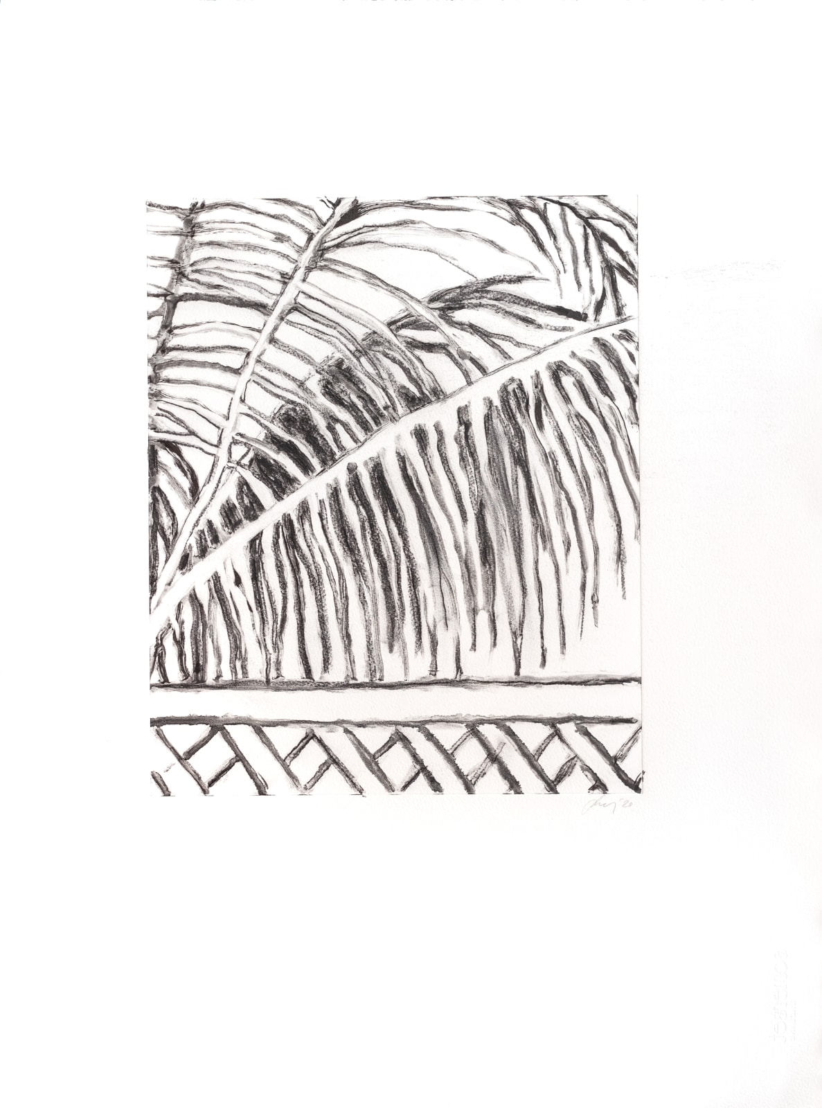 Suzy Murphy, From My Balcony, 2020