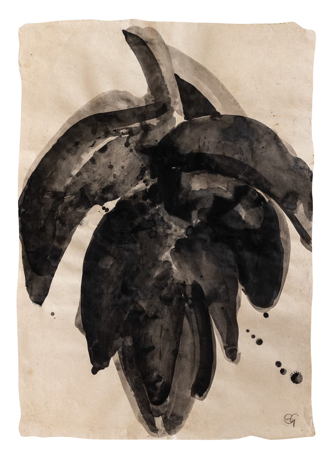 Sarah Graham, Musa acuminata (paper) XI, 2025