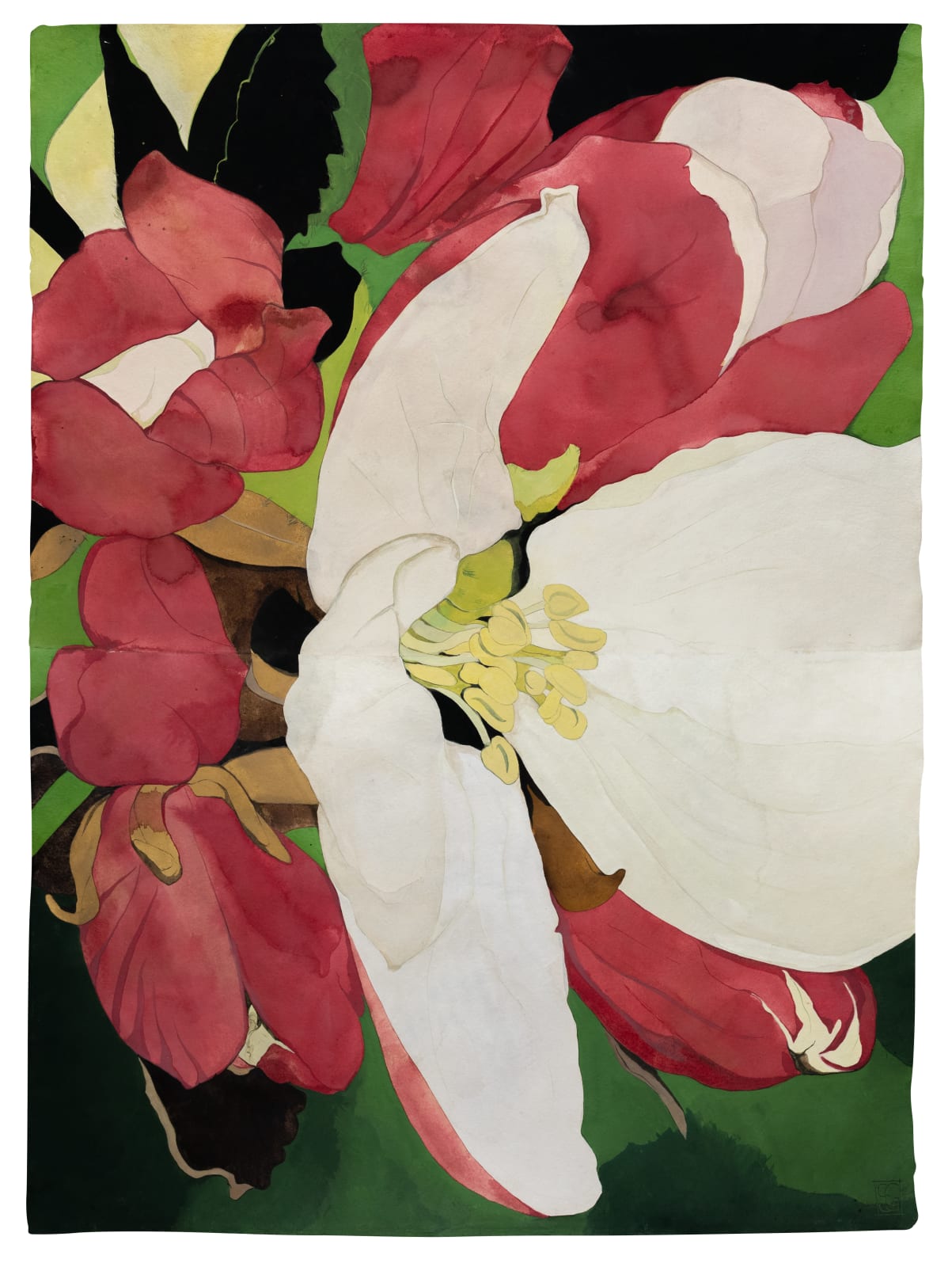 Sarah Graham, Cherry Blossom V, 2023