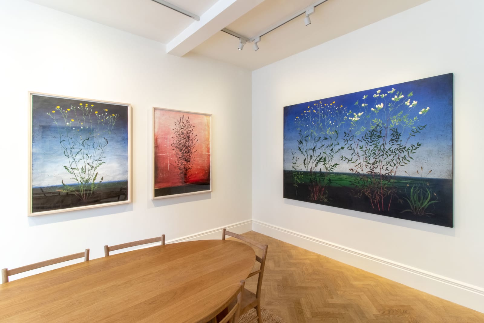 Michael Canning, This Descant, 2019-2022