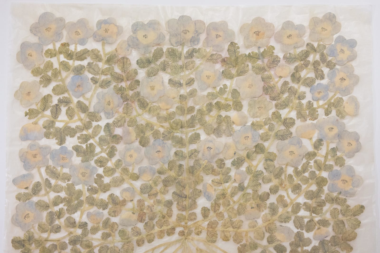 Fumi Imamura, One light blue flower (みずいろのお花ひと つ), 2024