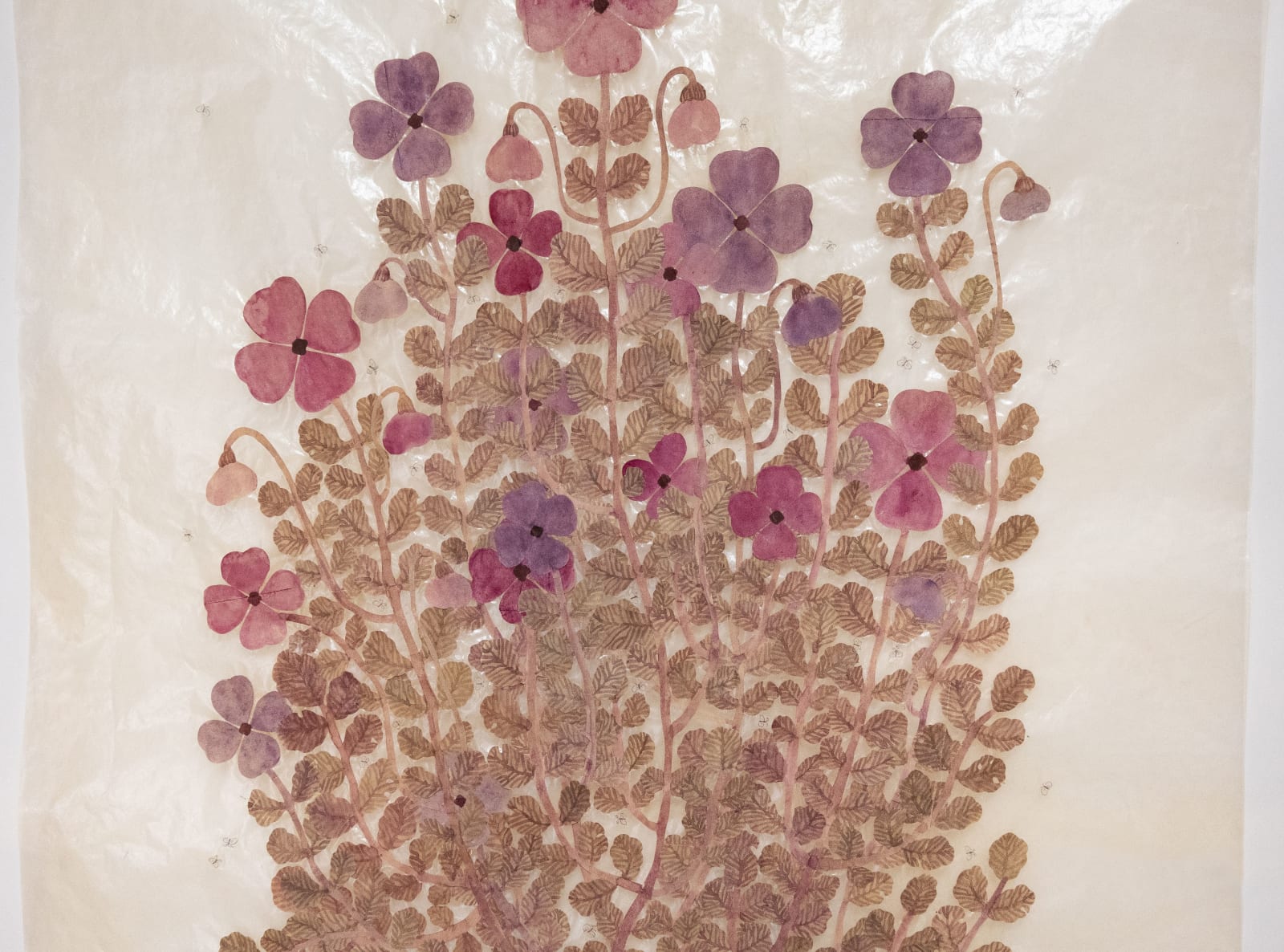 Fumi Imamura, Two purple flowers, fruiting (むらさきの花ふた つ、結実), 2025