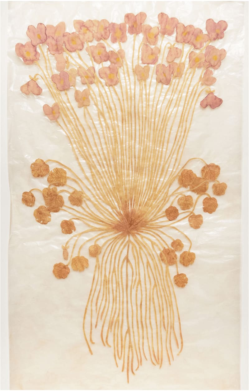 Fumi Imamura, One Flower (purple), 2022
