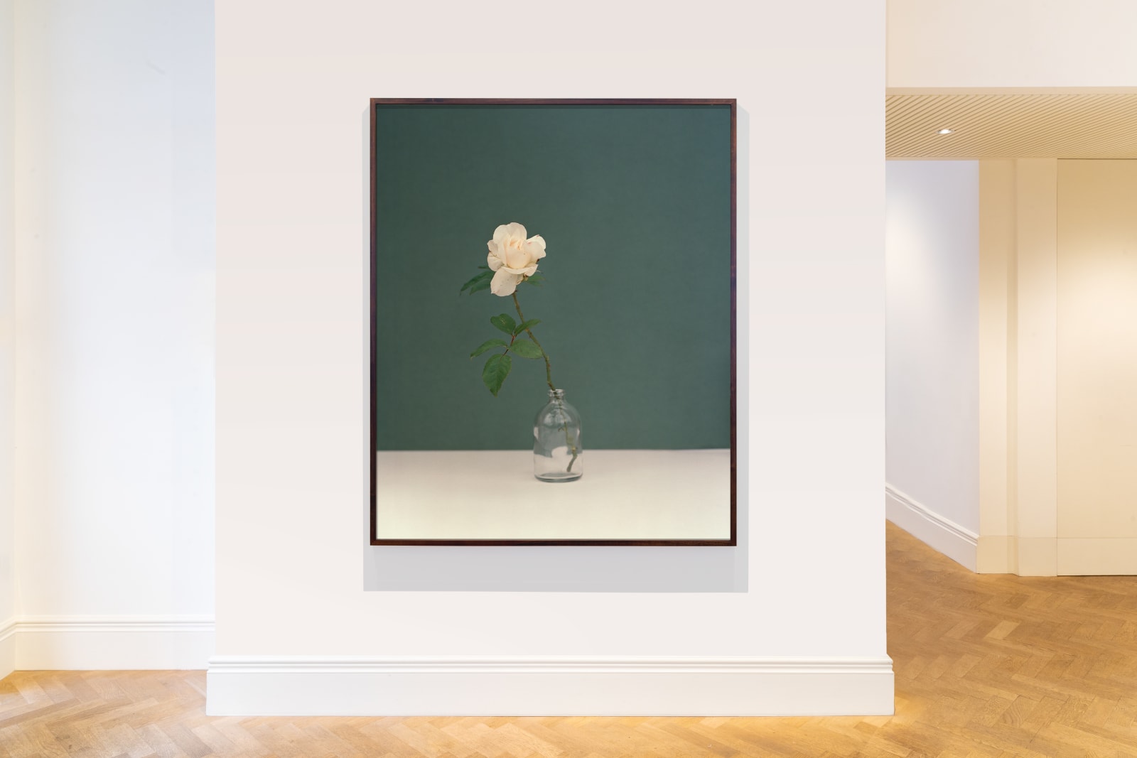 Kate Friend, John Pawson, Garden Rose, Cotswolds, 2020