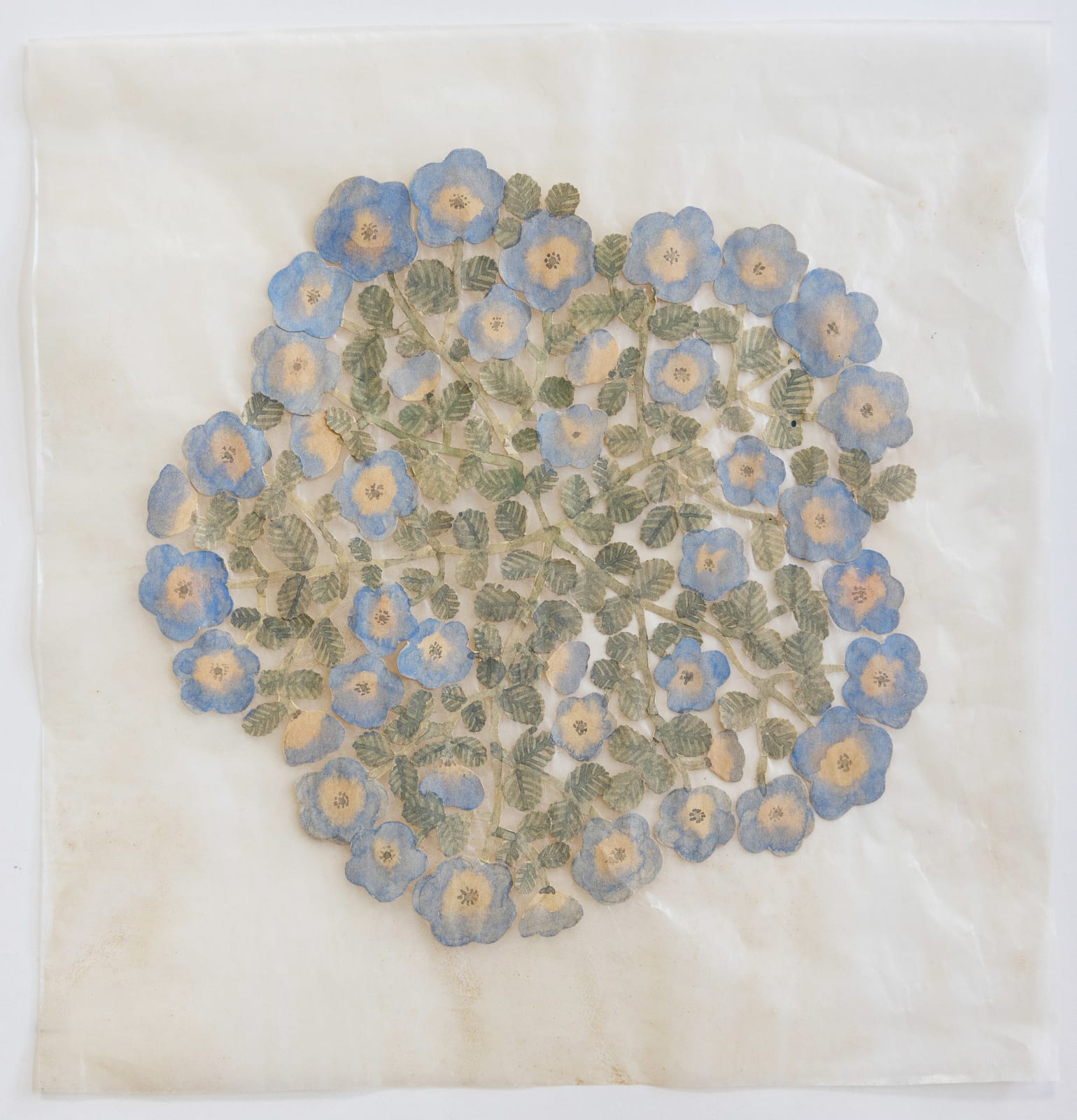 Fumi Imamura, One flower and insects (羽虫と花ひとつ), 2024