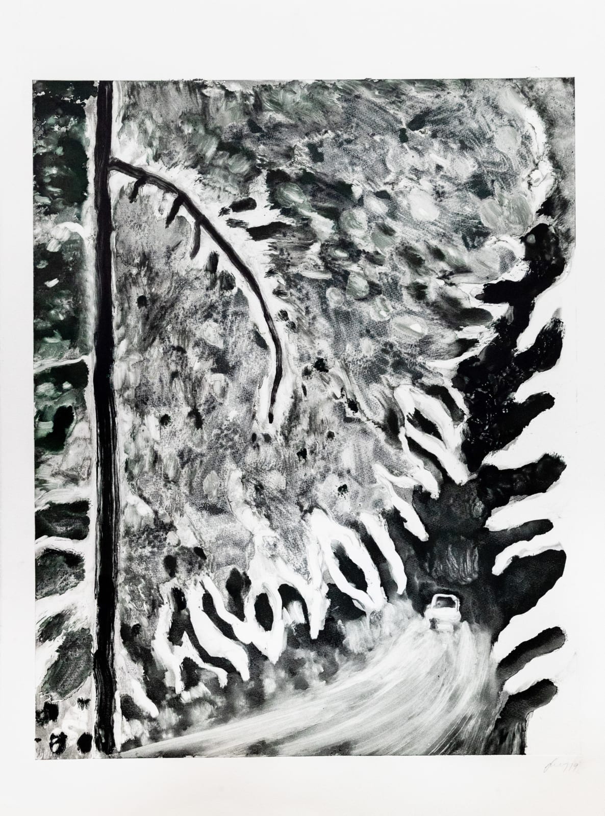 Suzy Murphy, Forest Deep, 2019