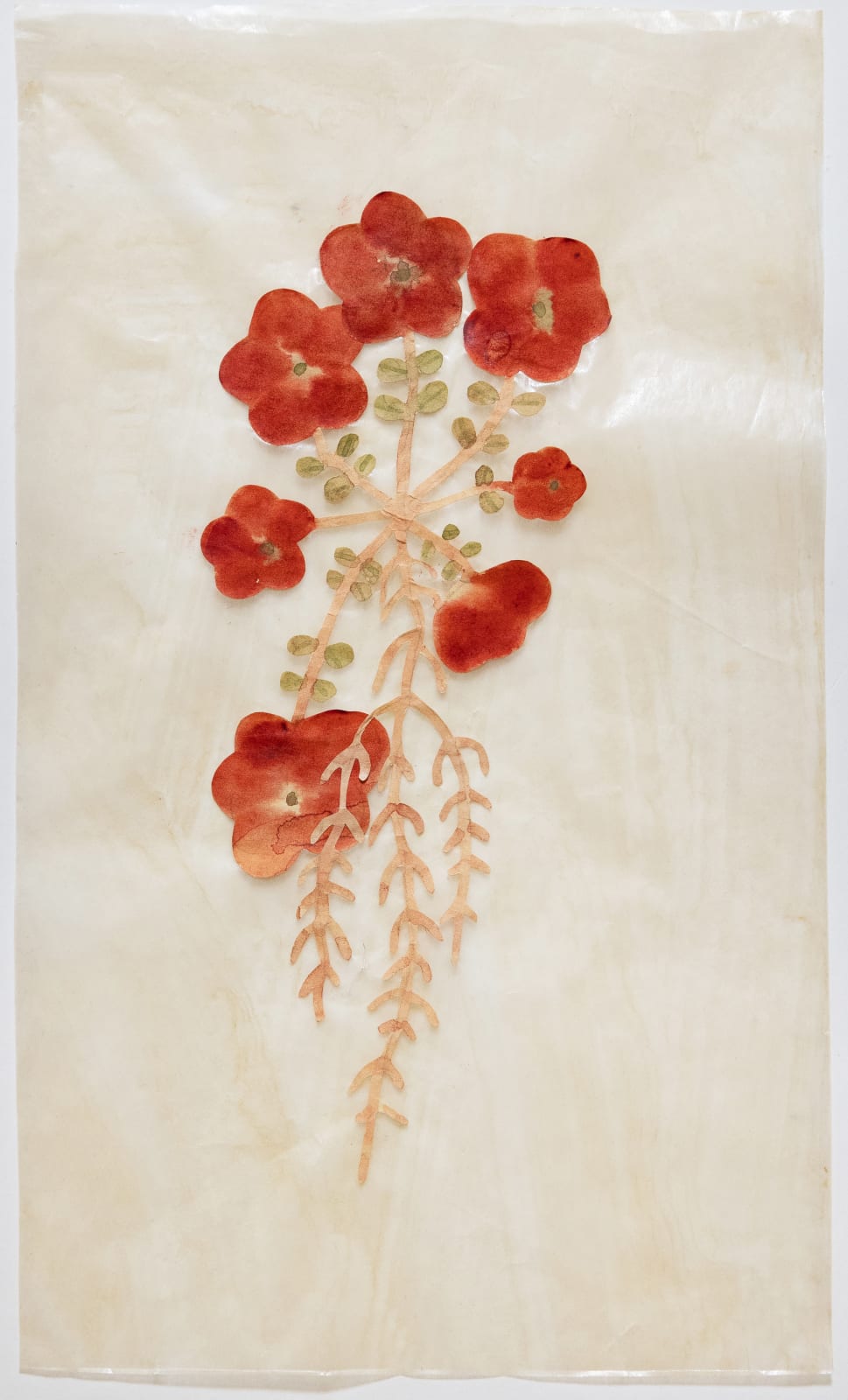 Fumi Imamura, One flower (red flower) (花ひとつ(赤い花), 2025