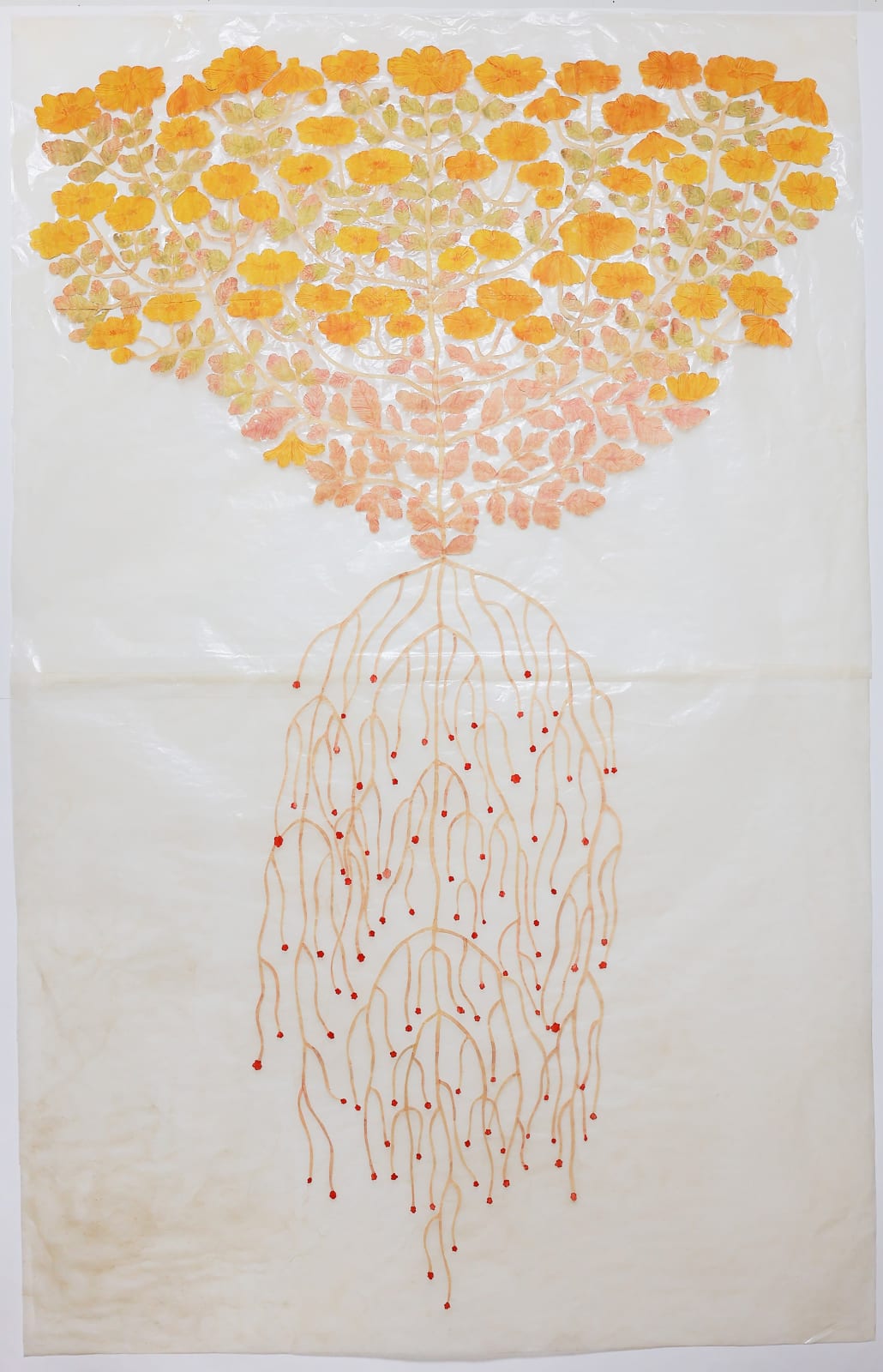 Fumi Imamura, One Flower (yellow chrysanthemum) (花ひとつ(黄菊)), 2023