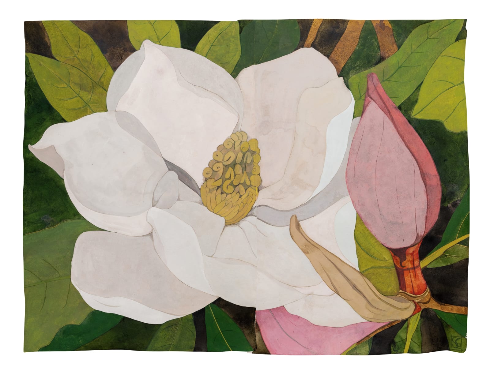 Sarah Graham, Magnolia grandiflora VII, 2022
