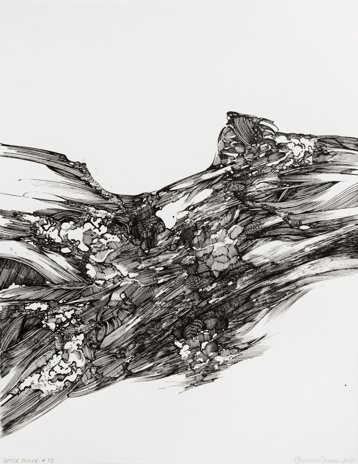 Ann-Marie James, After Dürer #29, 2018