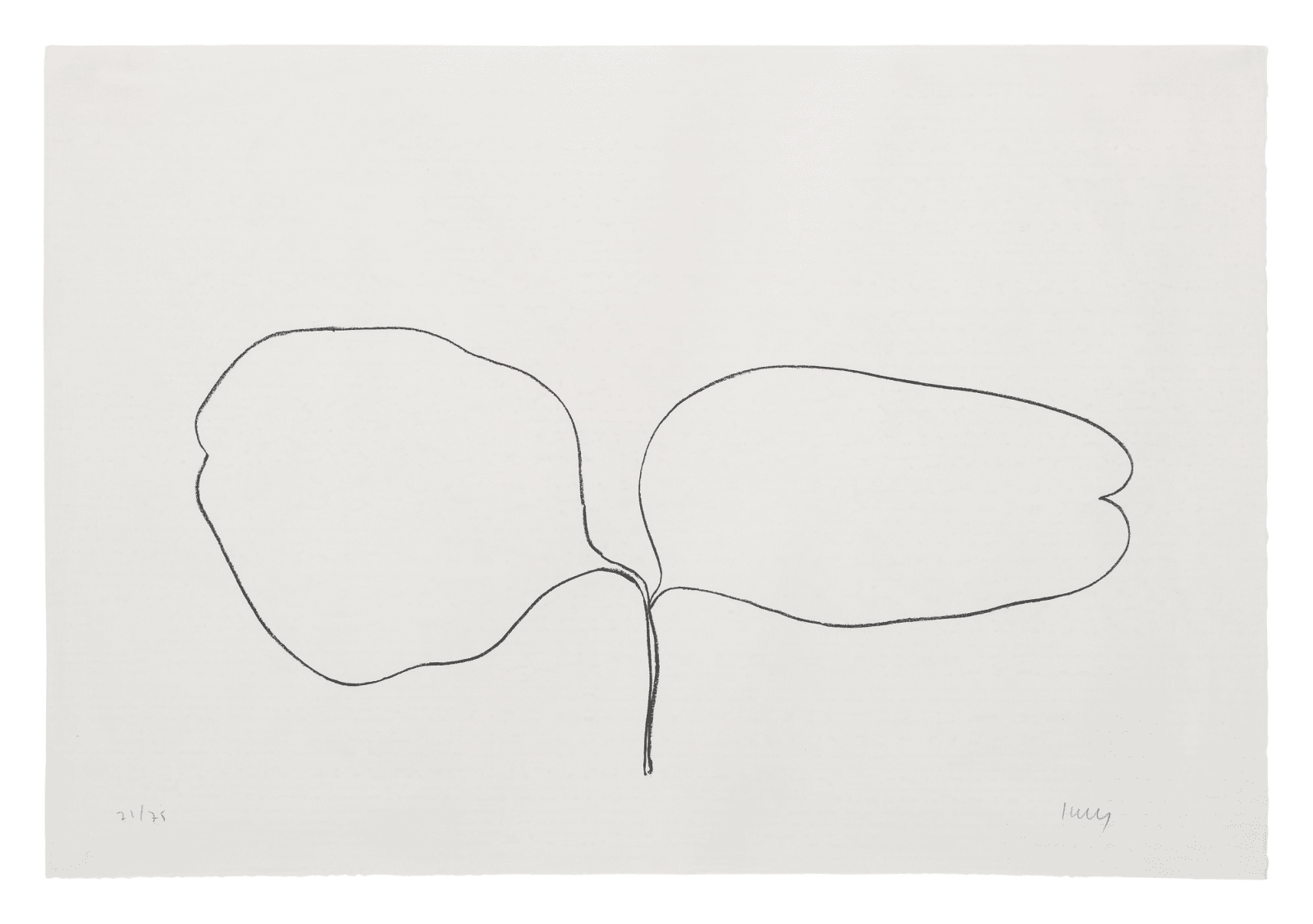 Ellsworth Kelly, Locust (Acacia), 1965-66