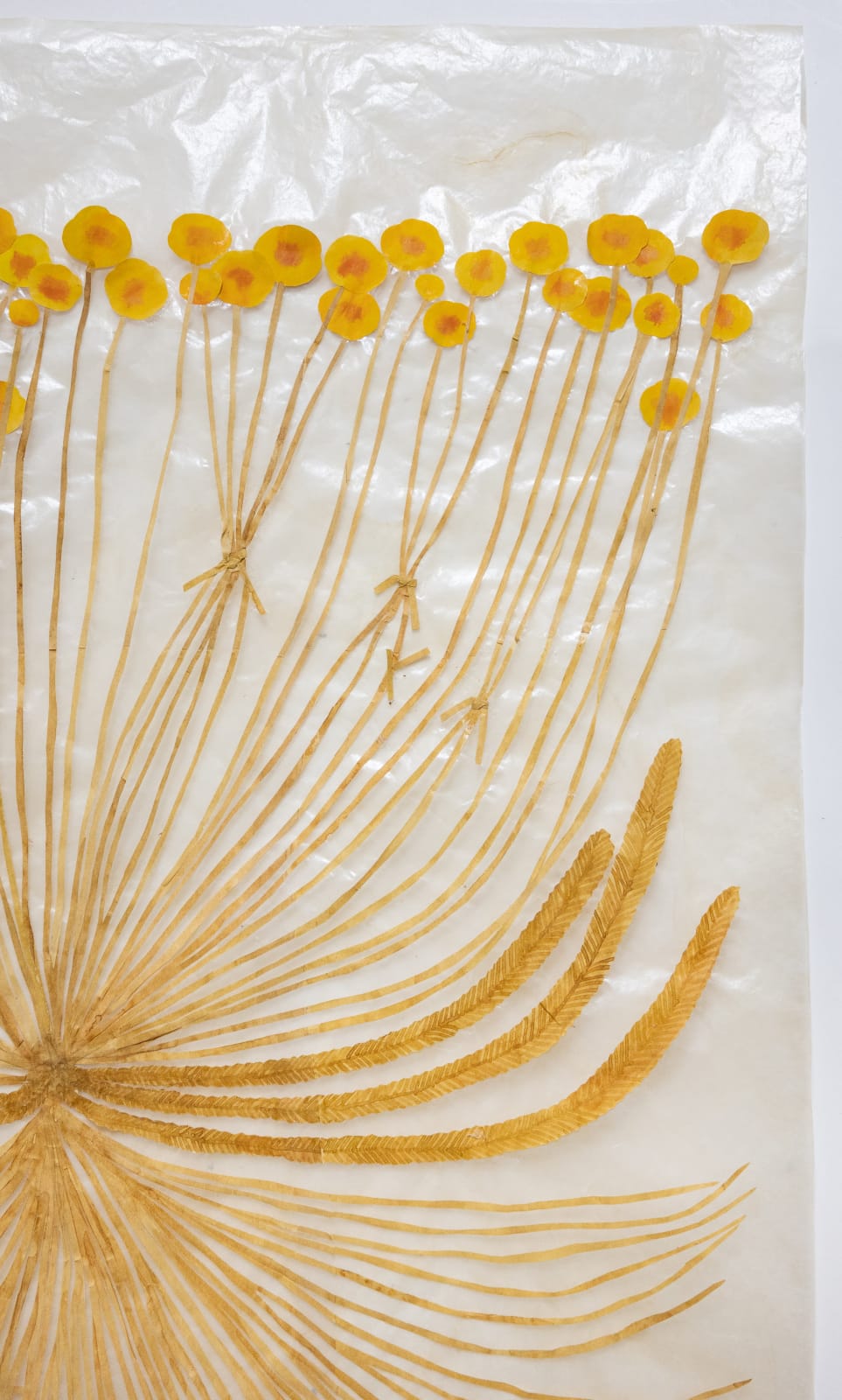 Fumi Imamura, Two tied flowers (yellow flower) (結ばれた花ふたつ(き いろいお花)), 2025