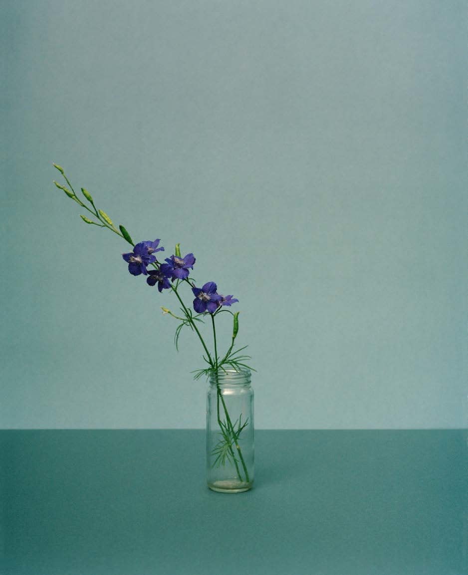 Kate Friend, Ron Finley, Field Larkspur, Los Angeles, 2022