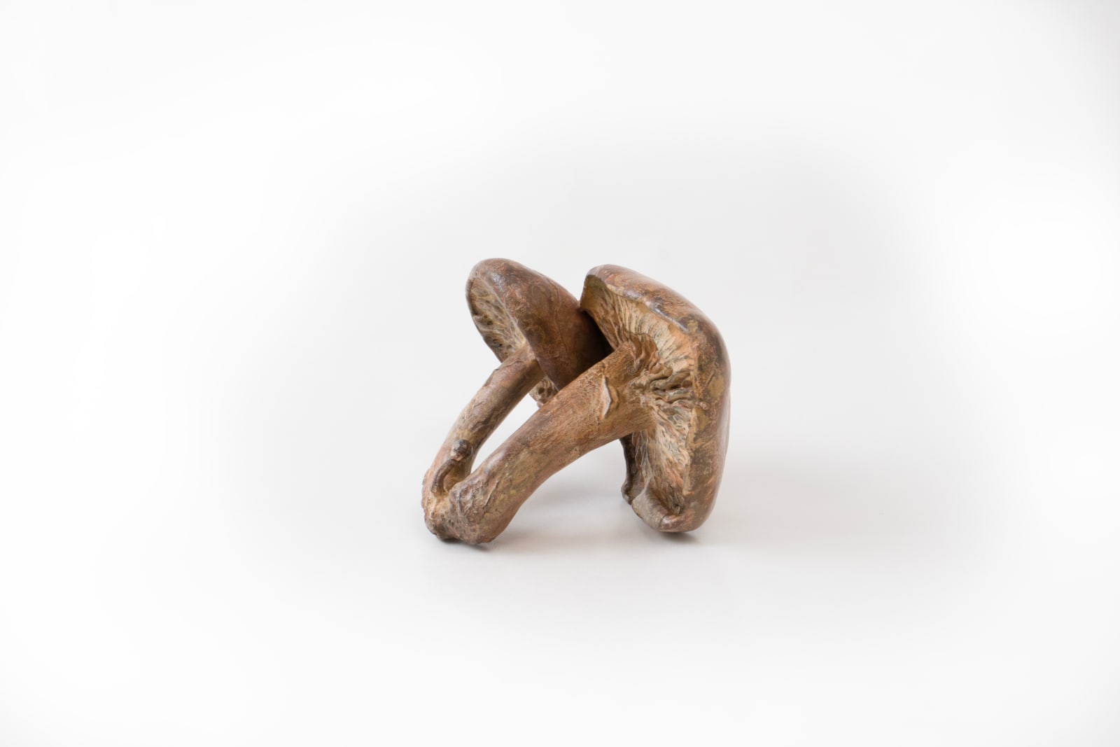 Alice-Andrea Ewing, Double Stemmed St. George's Mushroom, 2022