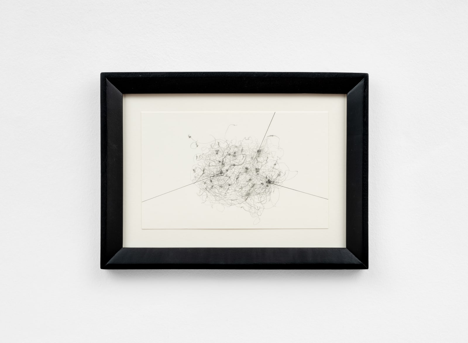 Anne-Laure Zevi, Untitled, 2024