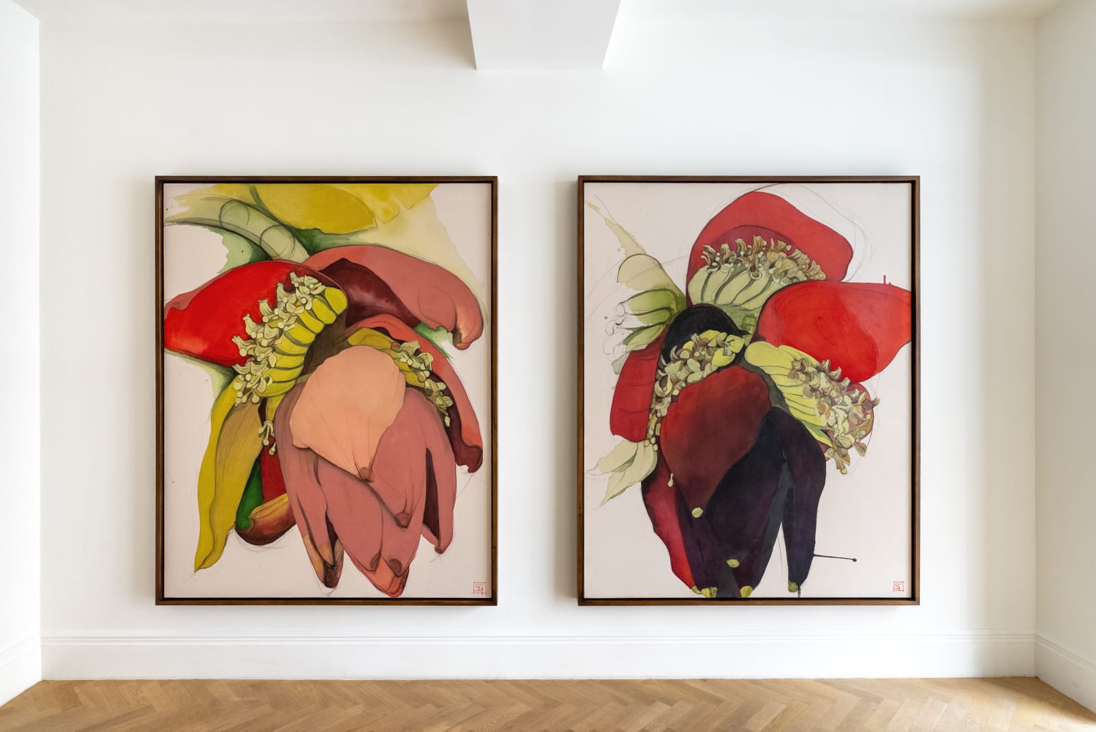 Sarah Graham, Musa acuminata (canvas) I, 2025