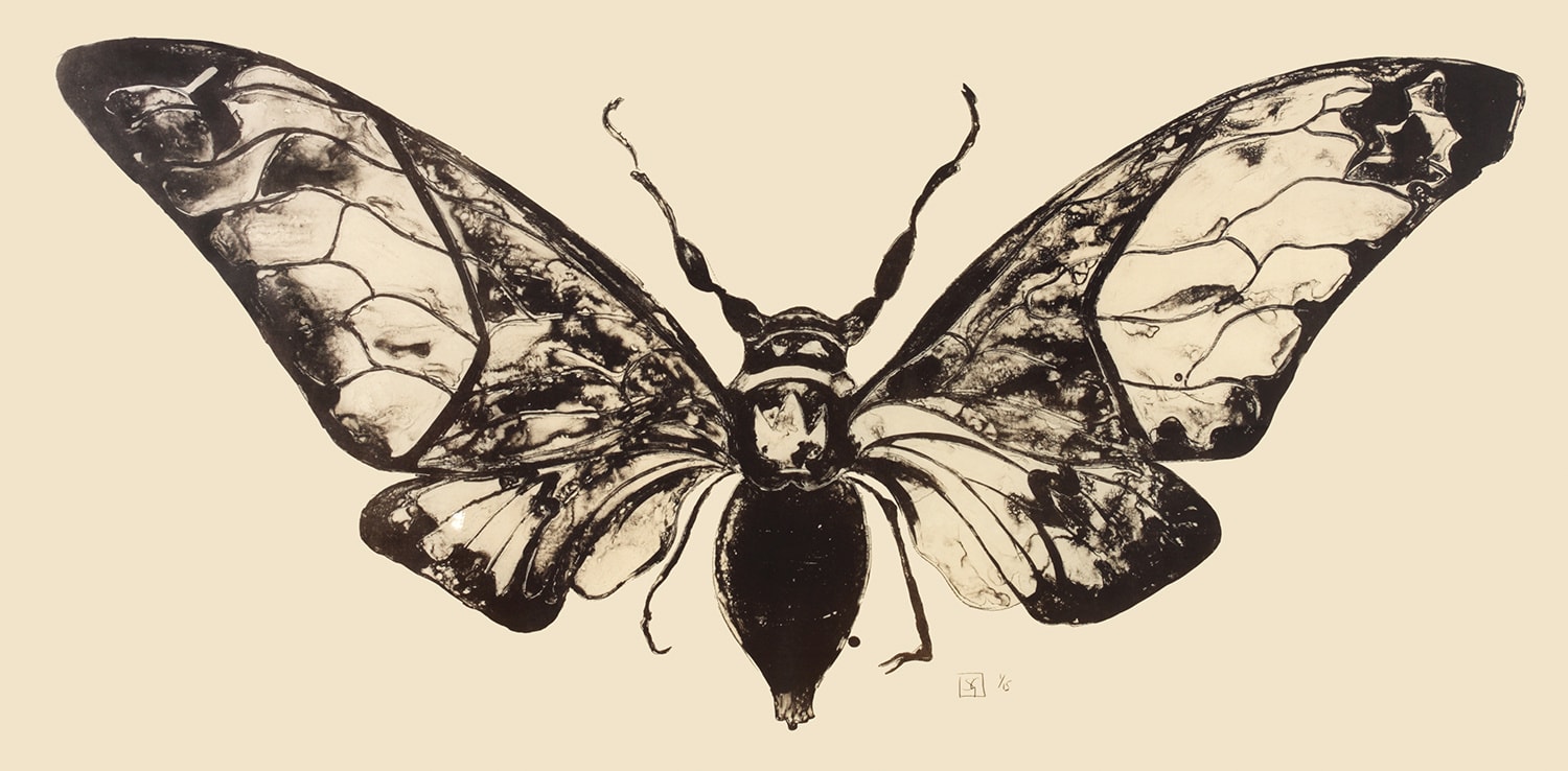 Sarah Graham, Salvazana Imperialis (Black and White), 2012