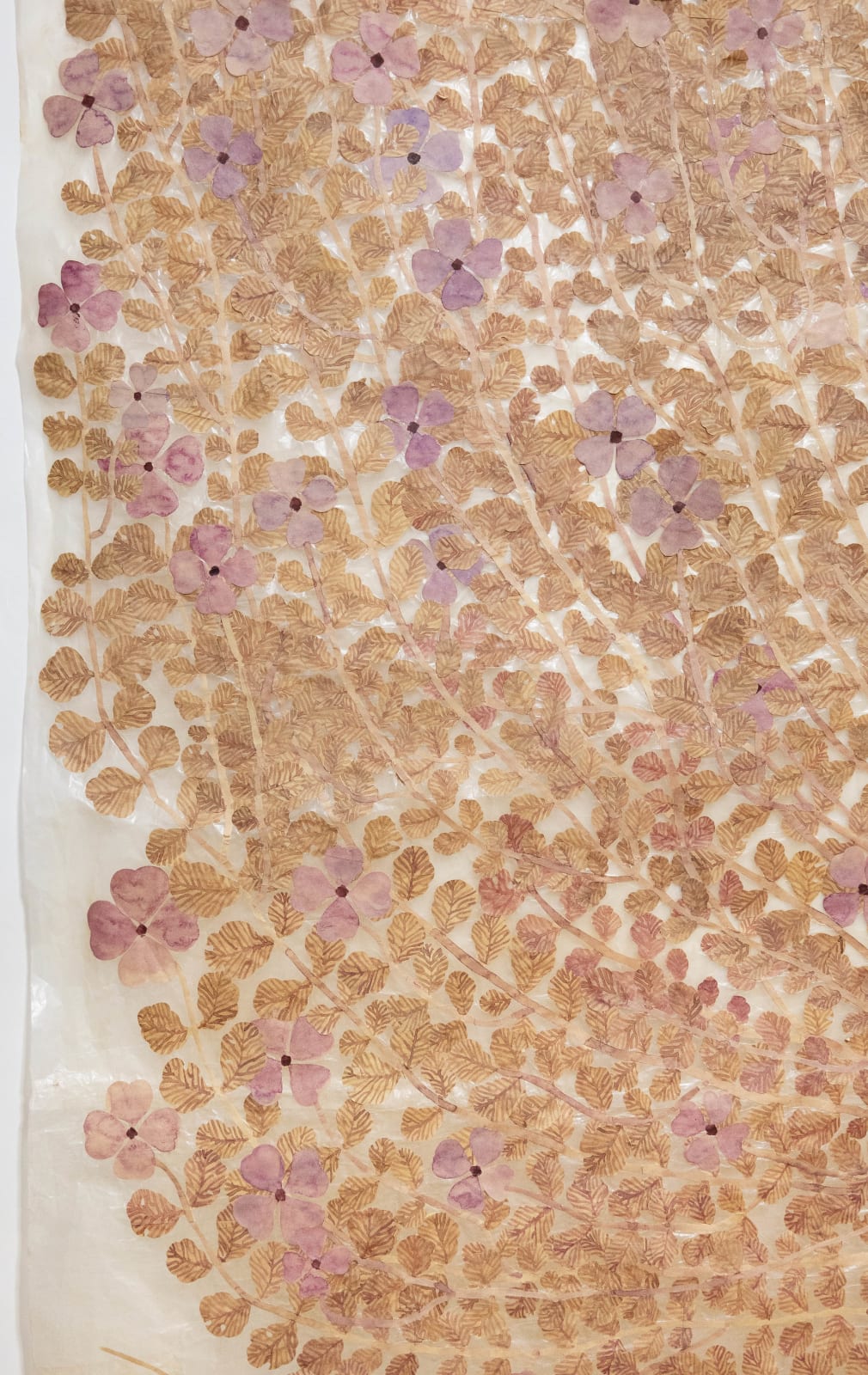 Fumi Imamura, One flower (Sweet rocket) (花ひとつ (むらさき なずな), 2024