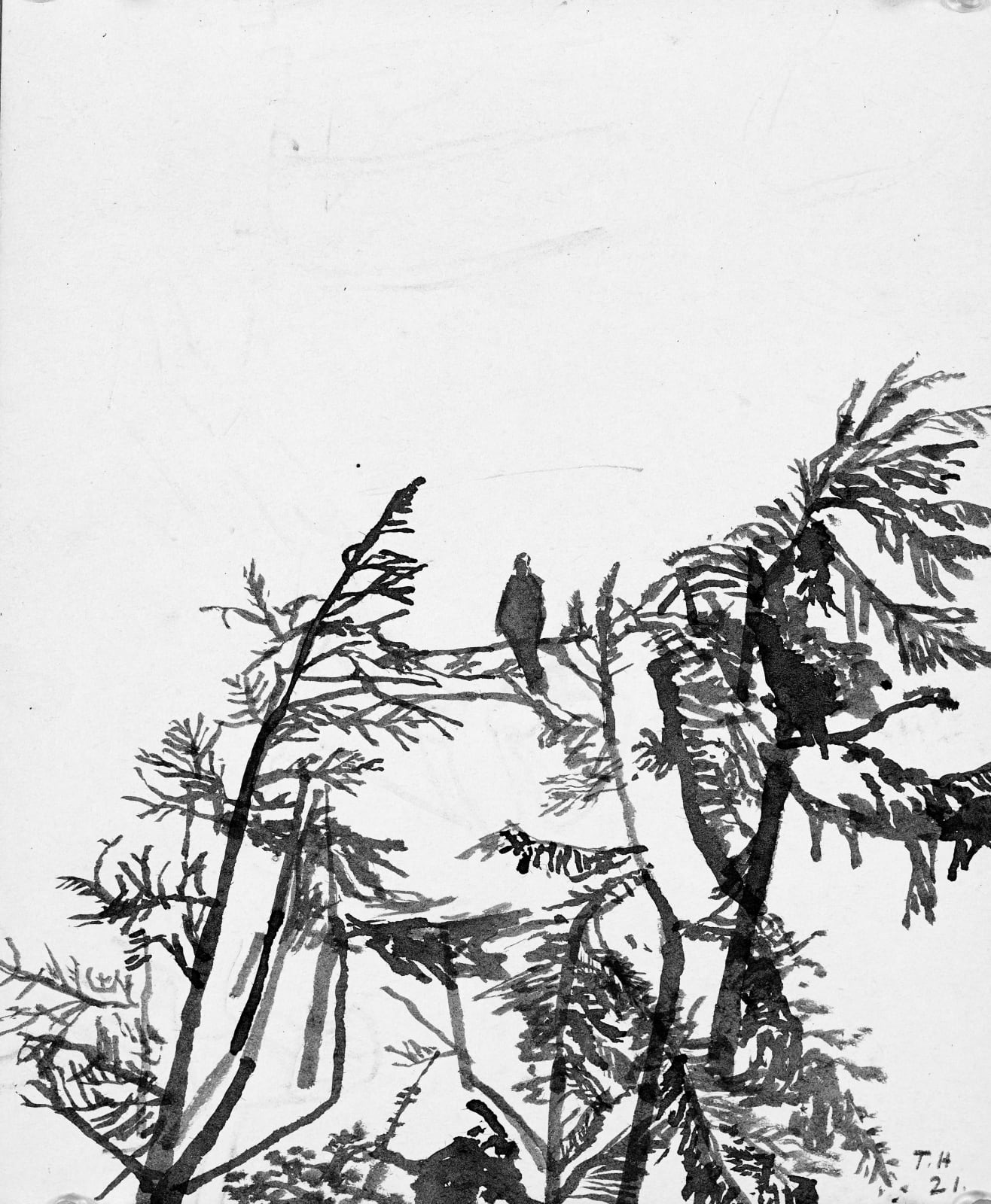 Tom Hammick, Lookout, 2021