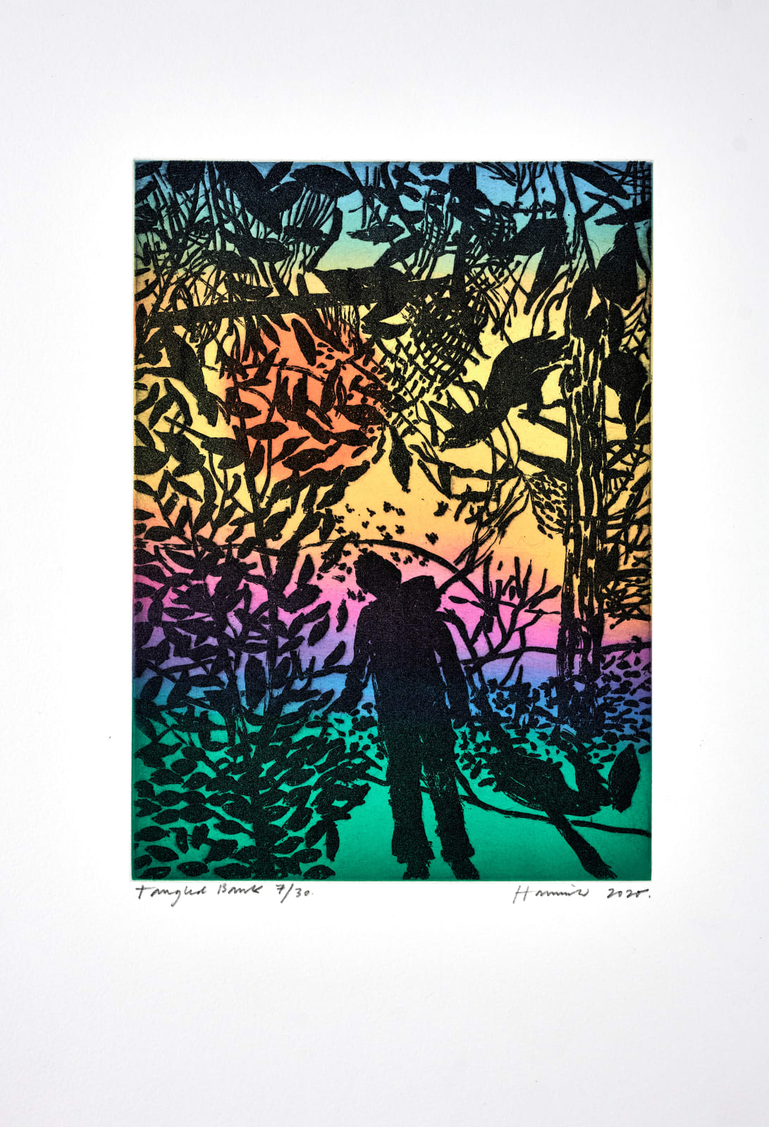 Tom Hammick, Tangled Bank, 2020