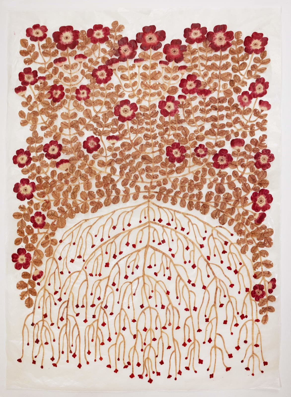 Fumi Imamura, One flower (wild rose) (花ひとつ (野ばら), 2025