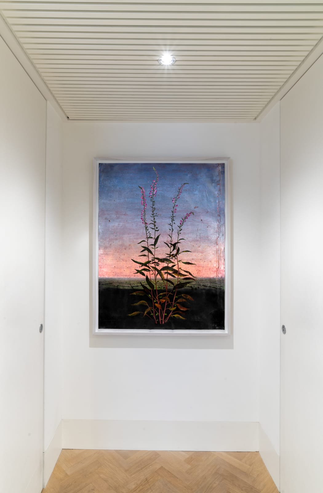 Michael Canning, Never. No, Always, 2014-2020