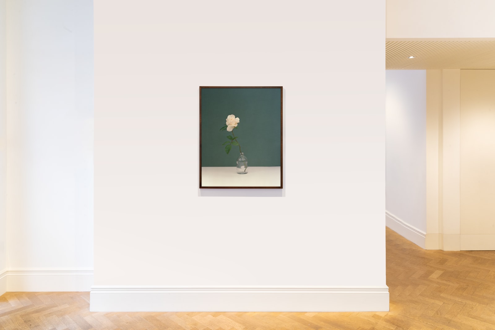 Kate Friend, John Pawson, Garden Rose, Cotswolds, 2020