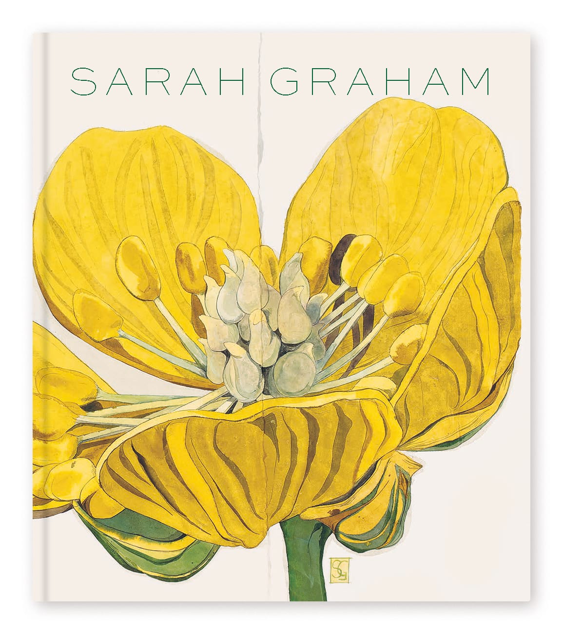 Sarah Graham, Monograph, 2020