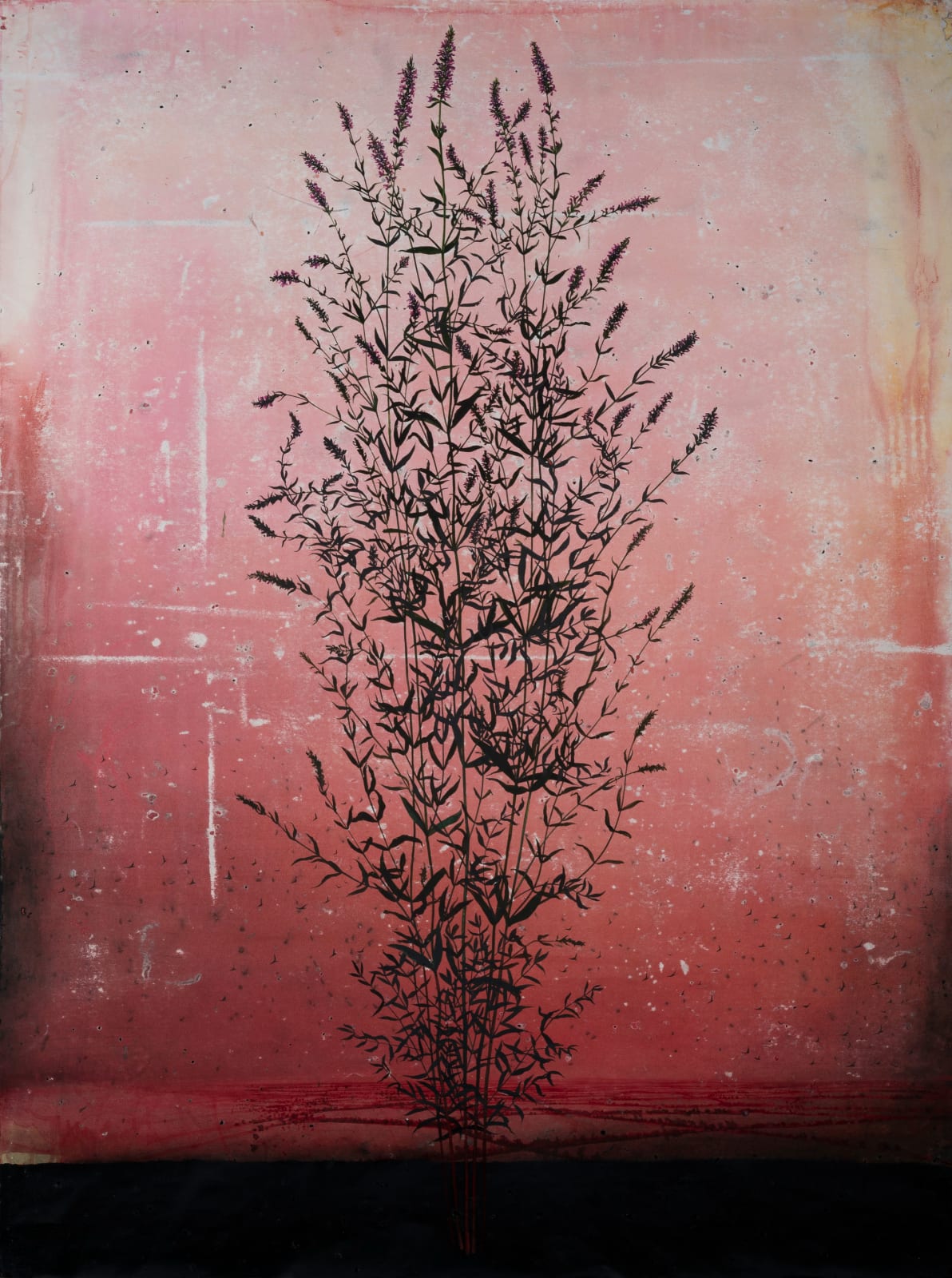 Michael Canning, This Descant, 2019-2022