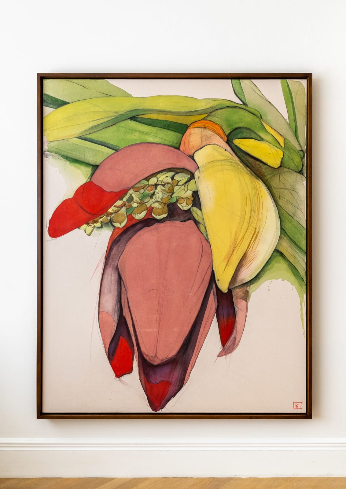 Sarah Graham, Musa acuminata (canvas) II, 2025
