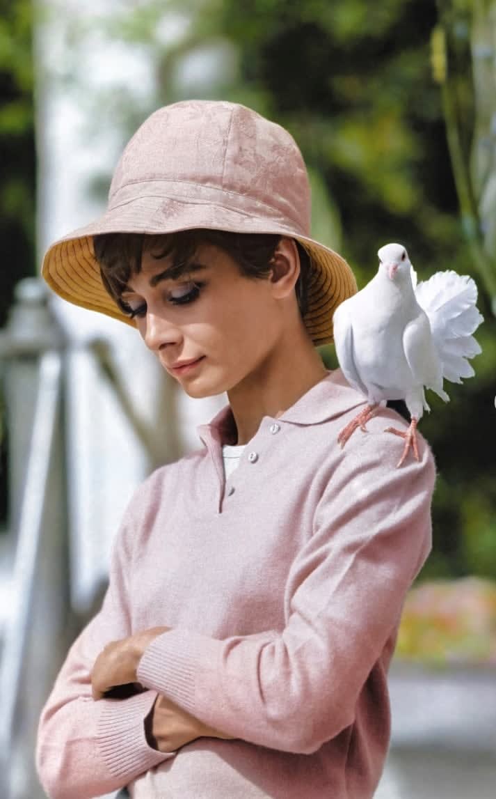 Terry O'Neill, Audrey Hepburn With Dove I, Colourised, 1966
